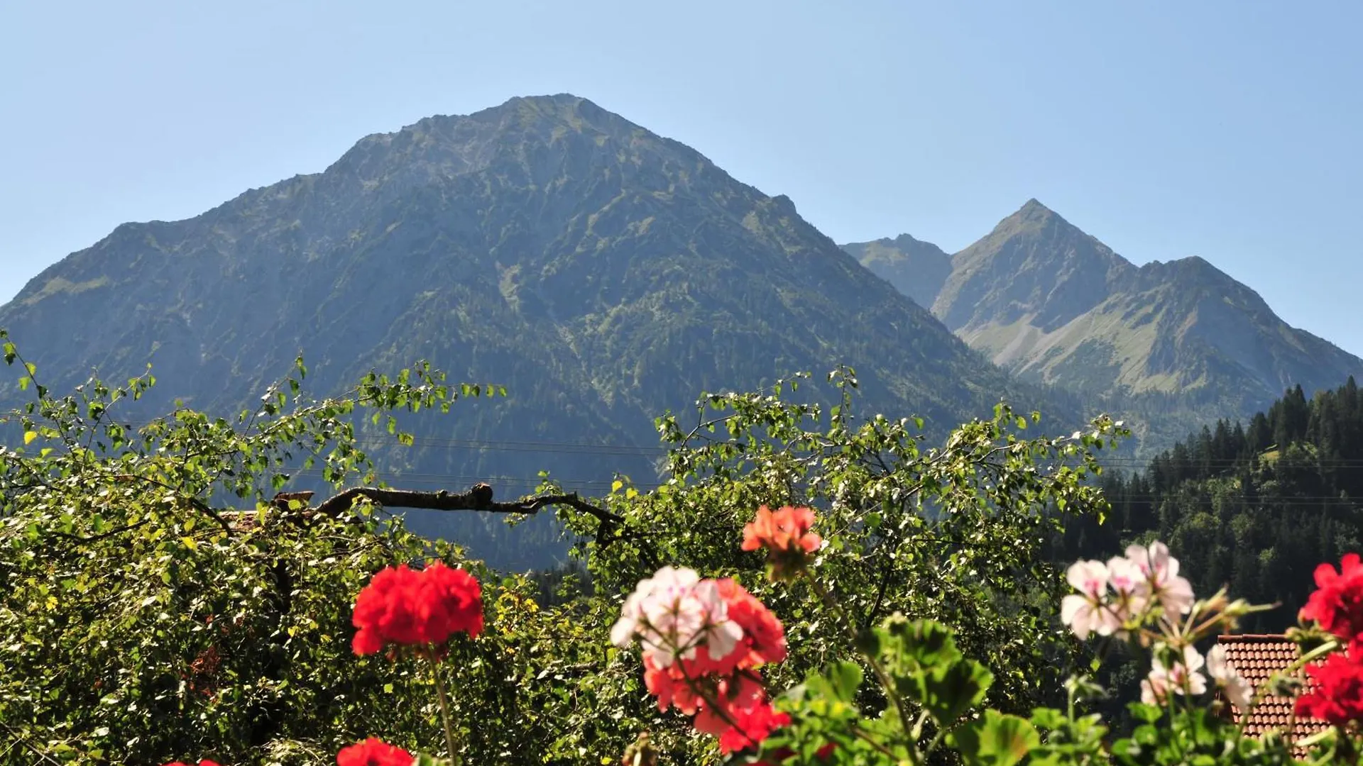 Apartmán Haus Sonnenruh Bad Hindelang