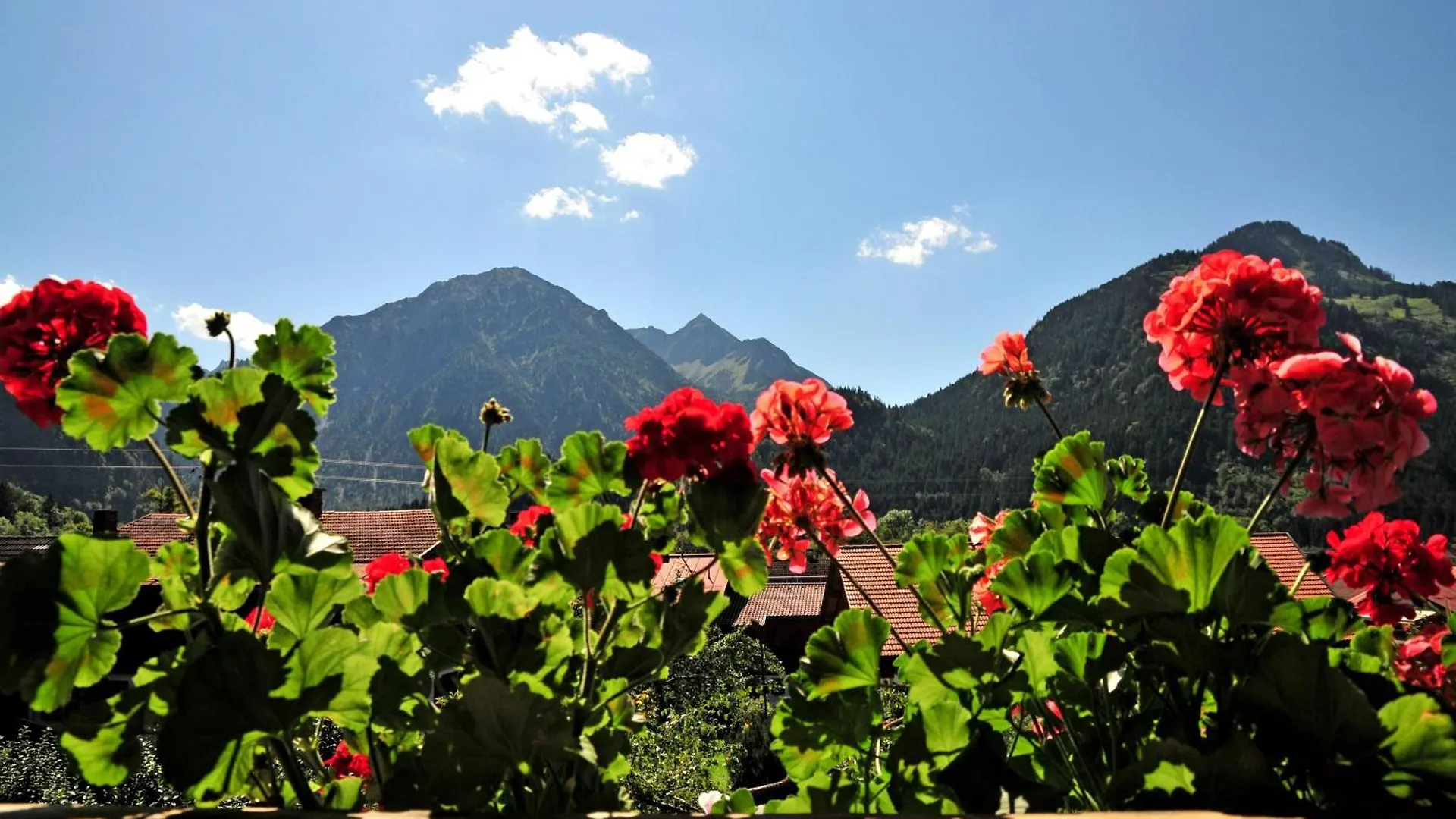 Apartmán Haus Sonnenruh Bad Hindelang